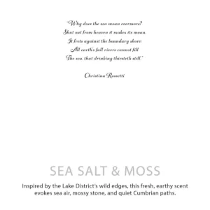 Agnes + Cat Botaniskt Sojavaxljus Seasalt & Moss - produktbild 6