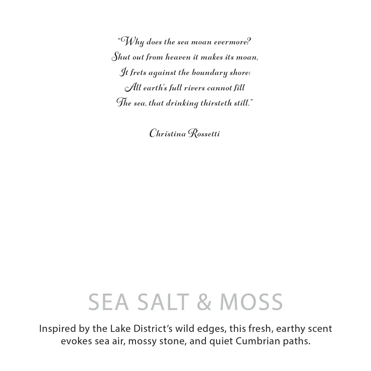 Agnes + Cat Botaniskt Sojavaxljus Seasalt & Moss - produktbild 6