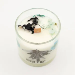 Agnes + Cat Botaniskt Sojavaxljus Seasalt & Moss - produktbild 9