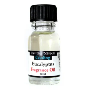Ancient Wisdom Eukalyptus doftolja 10 ml - produktbild 3