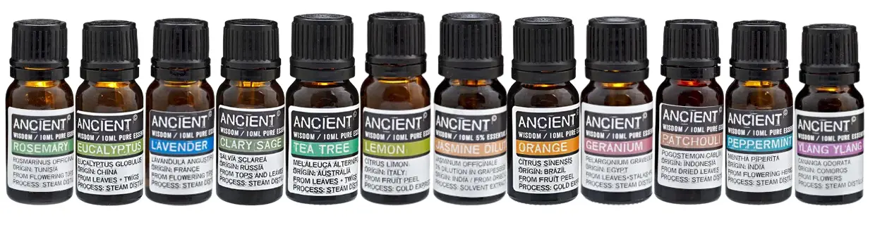 Aromaterapilåda i mangoträ för 12 flaskor eteriska oljor 10 ml - produktbild 2