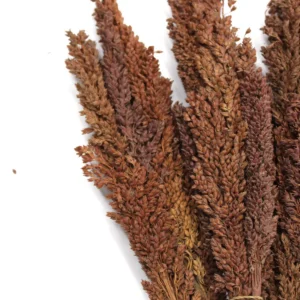 Bukett med kantgräs i chokladbrun färg - produktbild 2