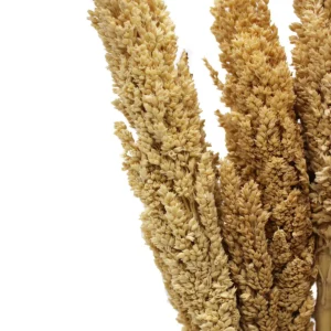 Bukett med kantgräs i naturlig färg - produktbild 10