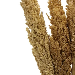 Bukett med kantgräs i naturlig färg - produktbild 3