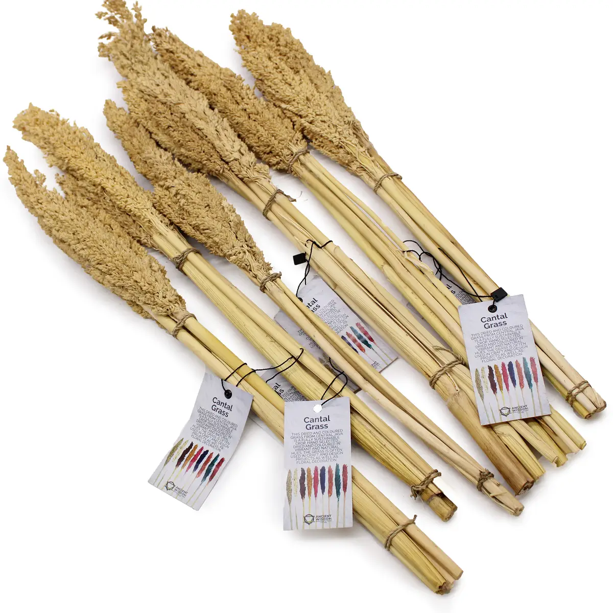 Bukett med kantgräs i naturlig färg - produktbild 8