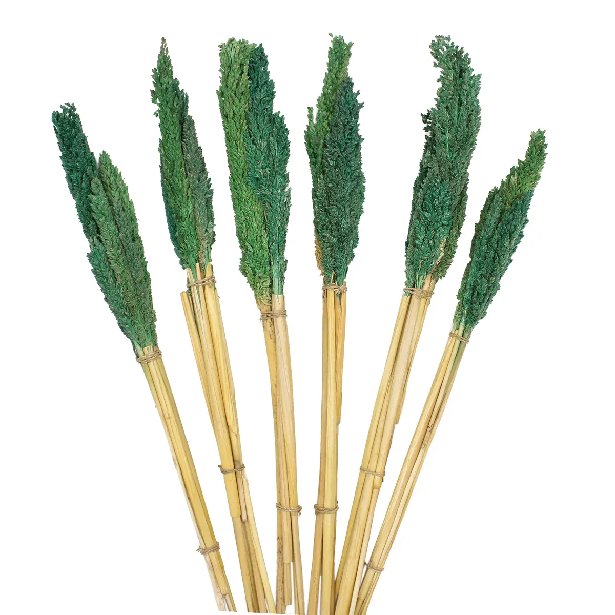 Bukett med kantgräs i teal färg - produktbild 4