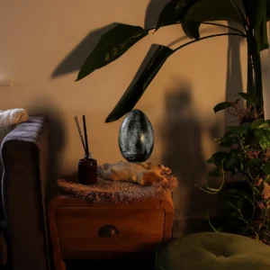 DriftGlow bordslampa med äggformad skärm i grå sprickmönstrad glasfiber och drivvedsfot - produktbild 5