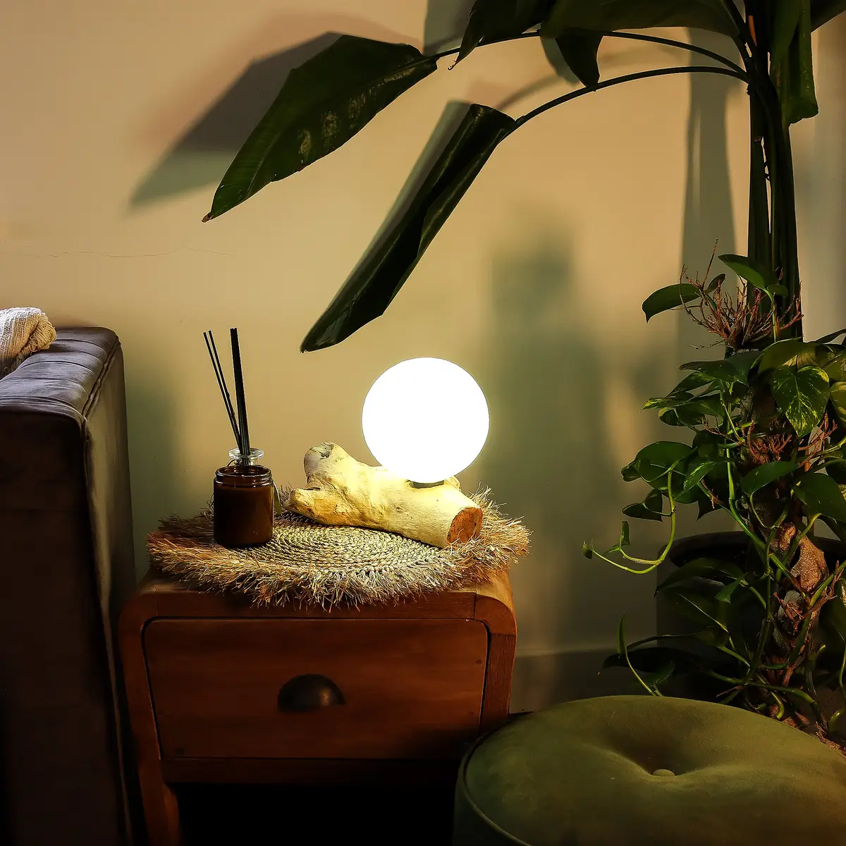 DriftGlow bordslampa med bomullsskärm och drivvedsfot - produktbild 6