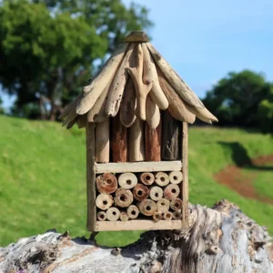 Driftwood biholk och insektshotell i dubbel modell placerad utomhus på en trädstam
