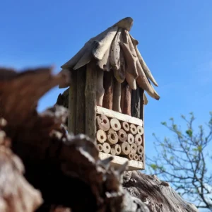 Driftwood biholk och insektshotell i dubbel modell - produktbild 2