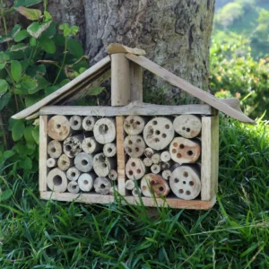 Driftwood bred insektsholk för bin och insekter - produktbild 3