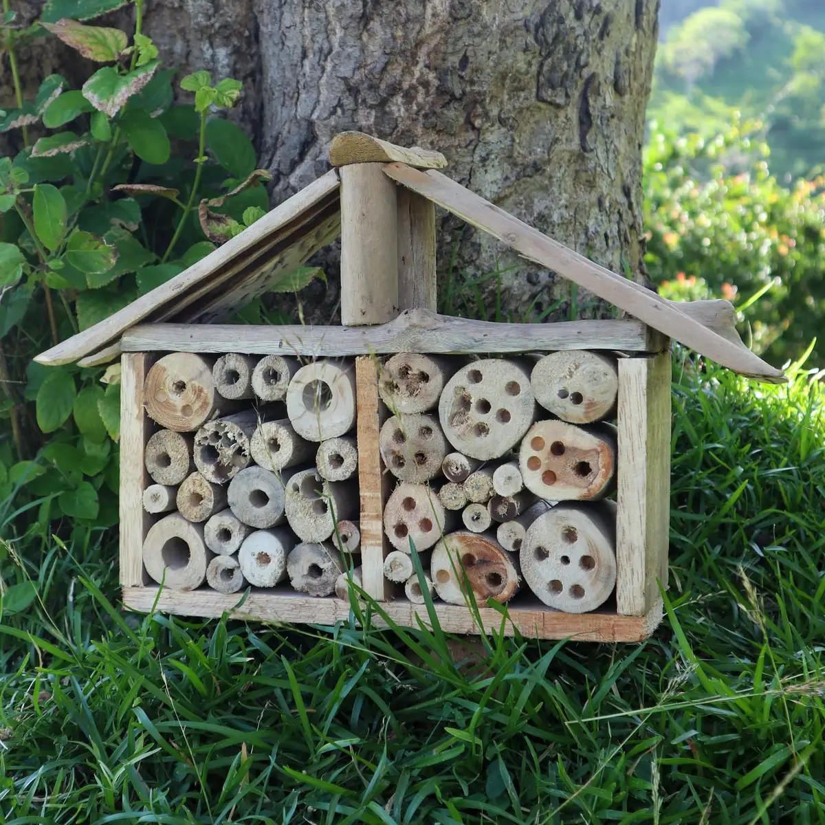 Driftwood bred insektsholk för bin och insekter - produktbild 3