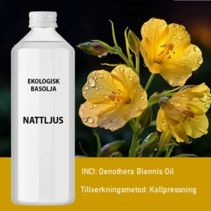 Ekologisk nattljusolja 1 liter kallpressad - produktbild 3