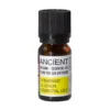 Eterisk oljeblandning för bilens doftspridare 10 ml – Travel Ease
