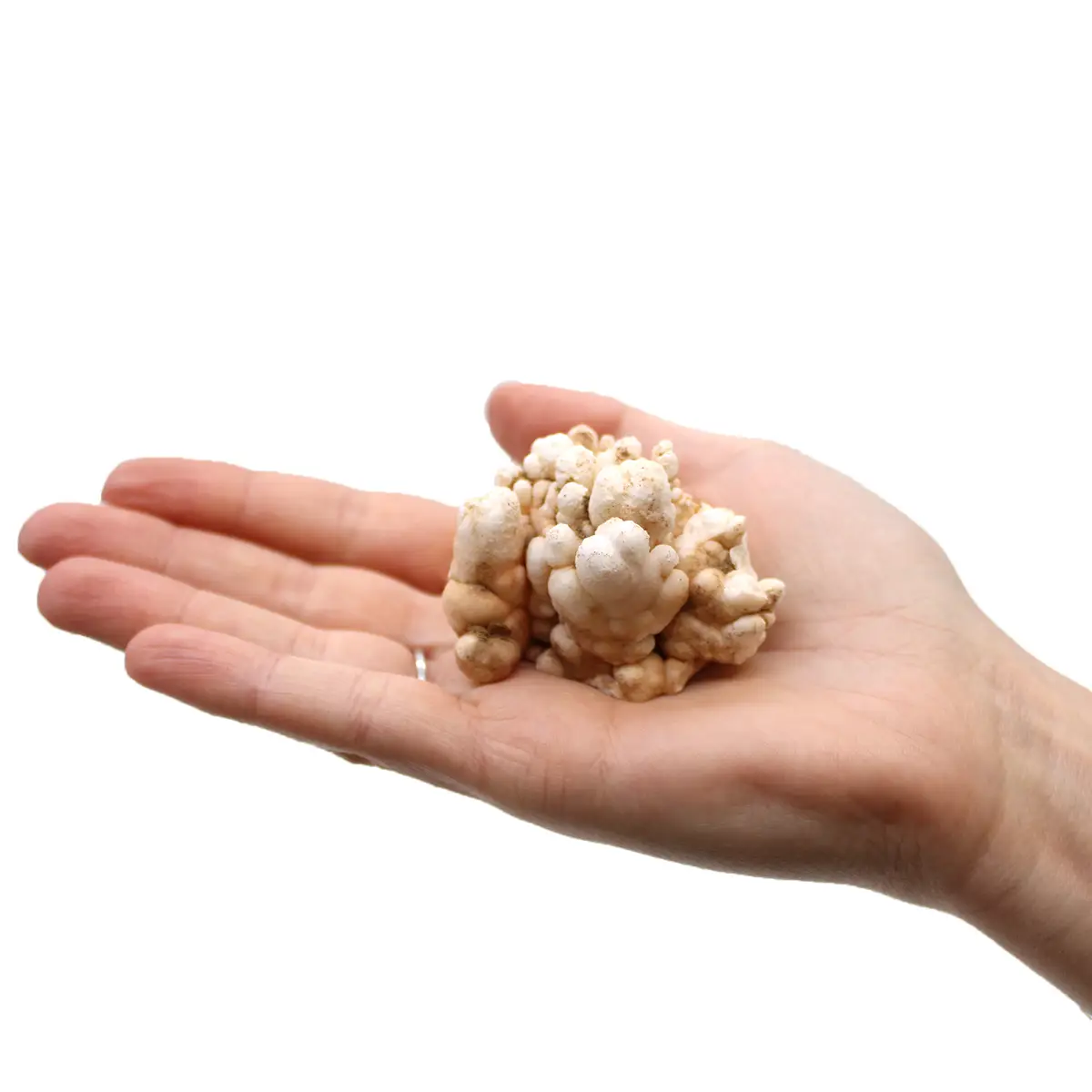 Fingerkvarts i förpackning om minst 1 kg - produktbild 10