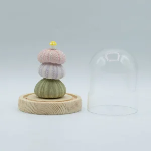 Floral Glow Trädgårdskupol med 3 sjöborrar och LED USB-belysning - produktbild 3