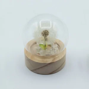 Floral Glow Trädgårdskupol med maskros och LED-belysning - produktbild 2