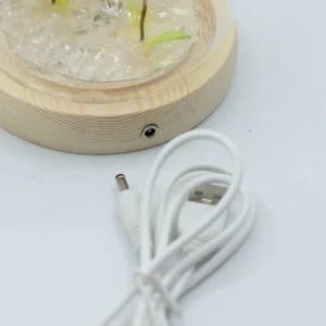 Floral Glow Trädgårdskupol med två maskrosor och LED USB - produktbild 4