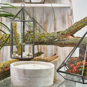 Glasterrarium i lykta form med järnram - produktbild 2