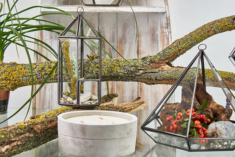 Glasterrarium i lykta form med järnram - produktbild 2
