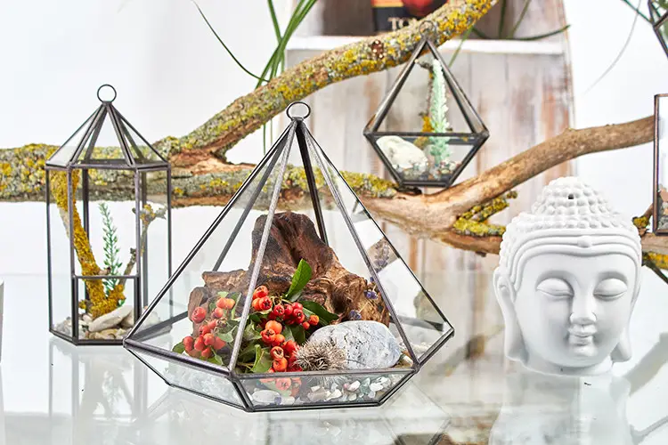 Glasterrarium i lykta form med järnram - produktbild 5