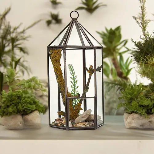 Glasterrarium i lykta form med järnram och växter inuti