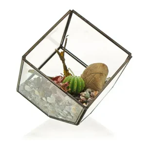 Glasterrarium kub i hörn med järnram - produktbild 2