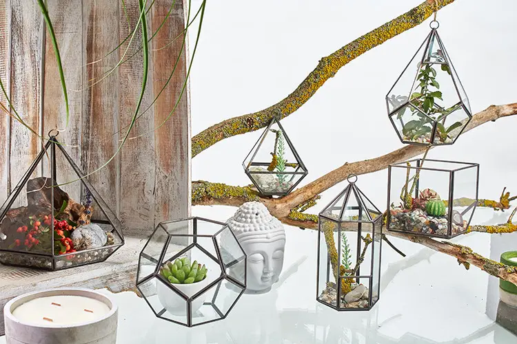 Glasterrarium kub i hörn med järnram - produktbild 4