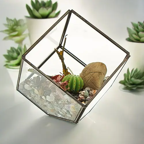 Geometriskt glasterrarium i kubform med järnram och växter