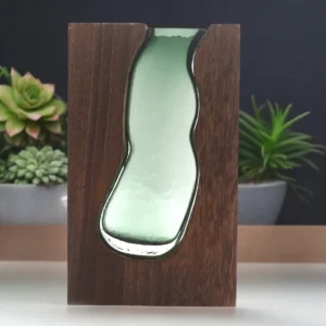Glasvas och terrarium med mörk tungträbas placerad på bord med växter i bakgrunden