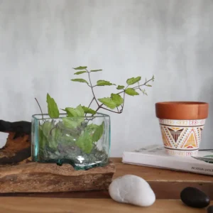 Handblåst glas skål på träställning liten - produktbild 5