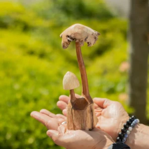 Handgjord parasitträskulptur med två svampar - produktbild 3