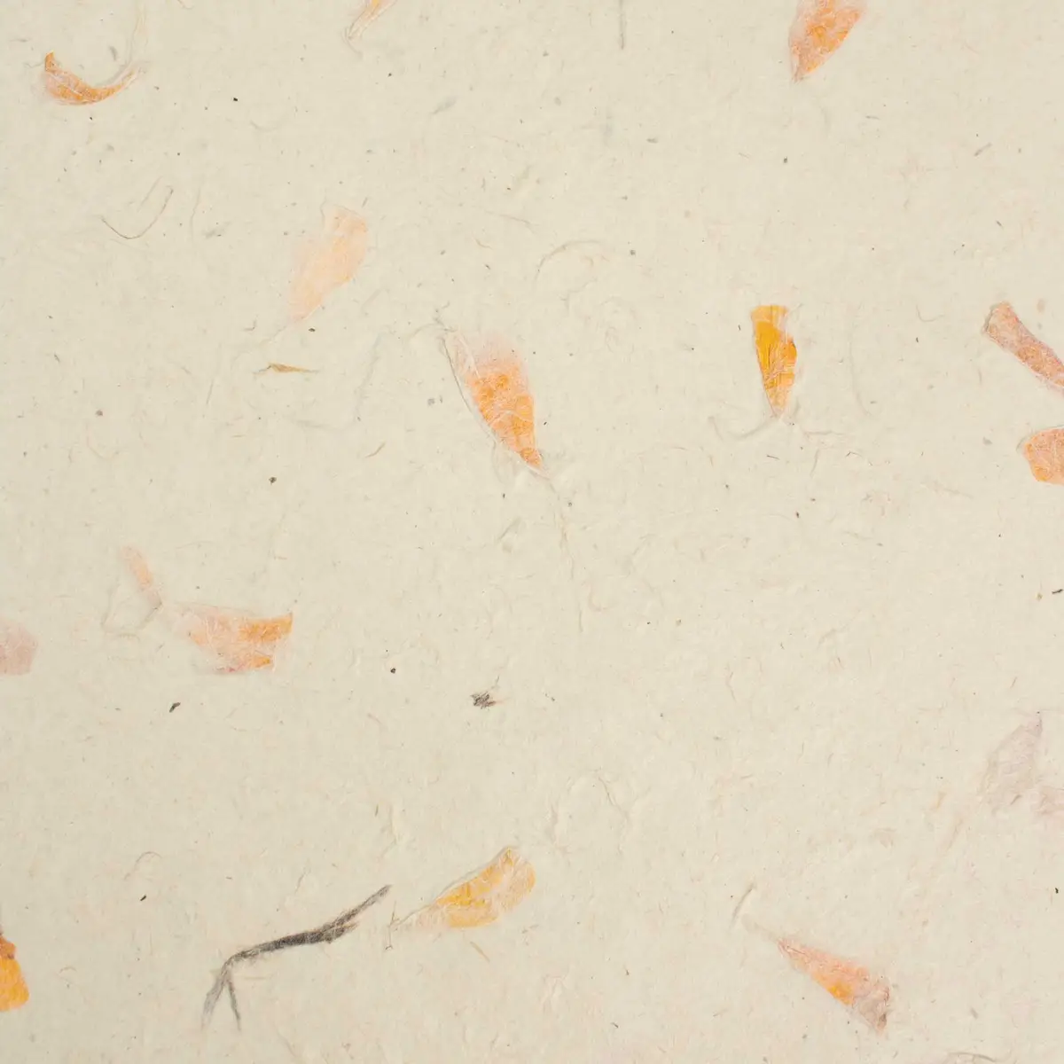 Närbild på handgjort Lokta-papper med inbäddade orange ringblomsterblad