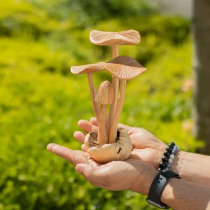 Handgjorda parasitära träskulpturer med fyra stora svampar - produktbild 5