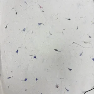 Handgjort Lokta-papper med blåklintspetal 51x76 cm - produktbild 2