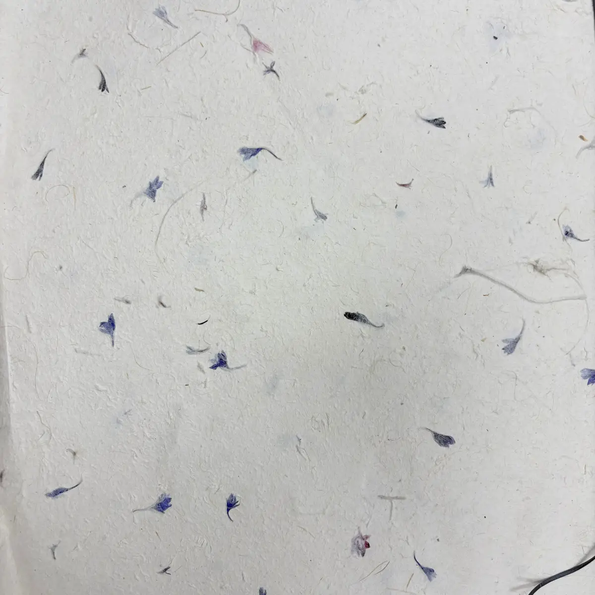 Handgjort Lokta-papper med blåklintspetal 51x76 cm - produktbild 2