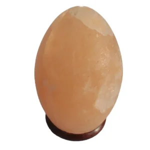 Äggformat himalayasaltlampa med träfot