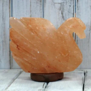 Himalayasaltlampa i form av svan 7x17x14 cm - produktbild 3