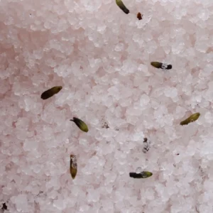Himalayiskt badsalt med lavendel och jojobaolja 500g - produktbild 2