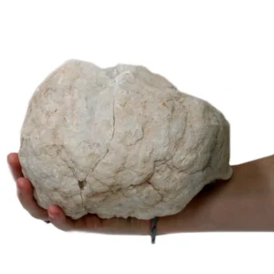 Kalciumkarbonatgeod med kalcit och kvarts 15-18 cm - produktbild 10