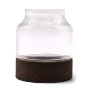 Litet format glasterrarium med mörk bas i tungträ 12x13 cm - produktbild 2