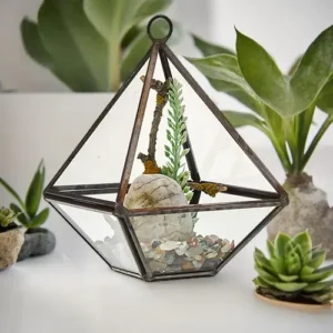 Litet diamantformat glasterrarium med järnram och suckulenter på vit yta