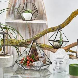 Litet glasterrarium i diamantform med järnram - produktbild 3