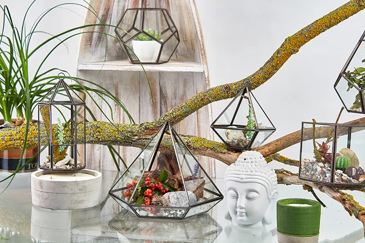 Litet glasterrarium i diamantform med järnram - produktbild 3