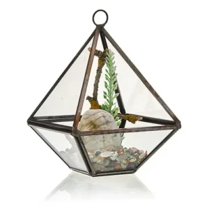 Litet glasterrarium i diamantform med järnram - produktbild 5