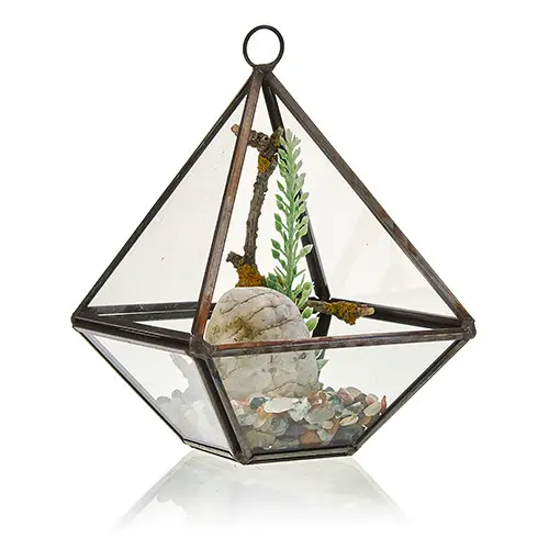 Litet glasterrarium i diamantform med järnram - produktbild 5