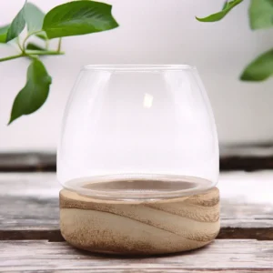 Litet glasterrarium med rundad glasbehållare på bas av naturligt tungträ