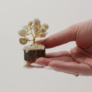 Litet Gomati Chakra-stenträd med 15 stenar - produktbild 2