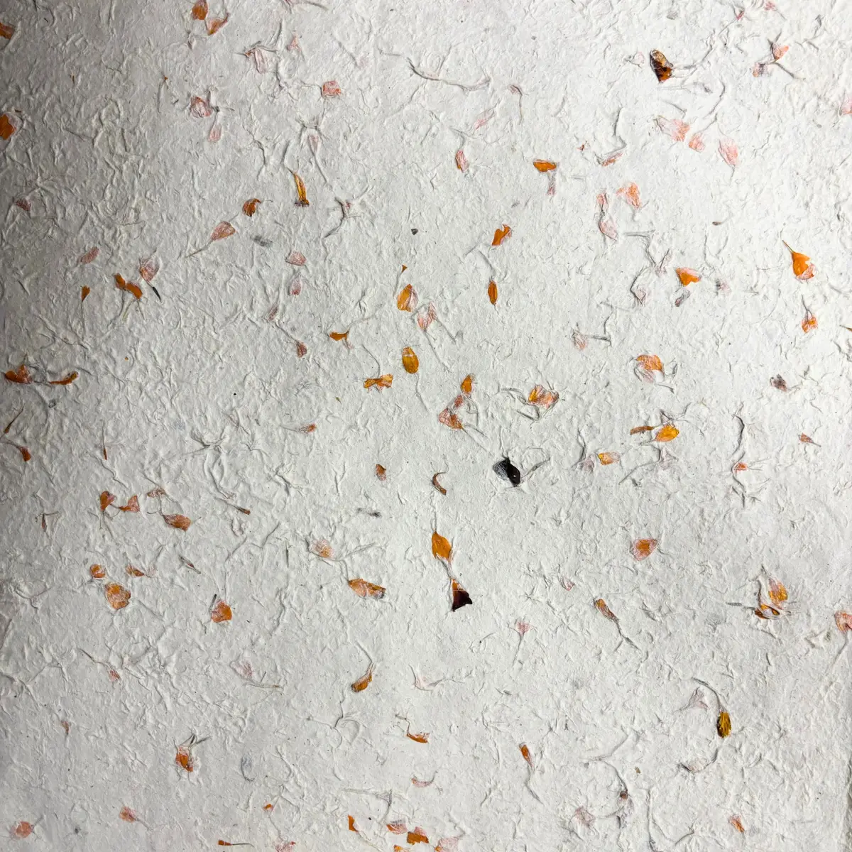 Lokta-papper för presentinslagning 51x76 cm med ringblomma - produktbild 2