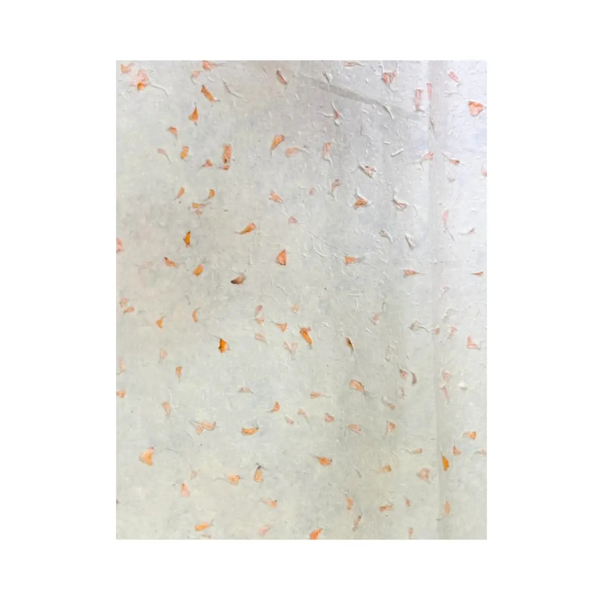 Lokta-papper för presentinslagning 51x76 cm med ringblomma - produktbild 4